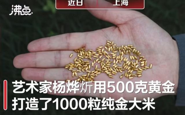 艺术家反浪费，竟用黄金打造1000粒纯金大米，一粒粒丢进黄浦江