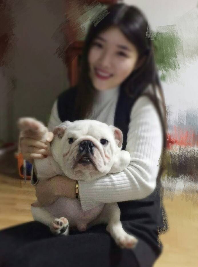 聊天室 主播