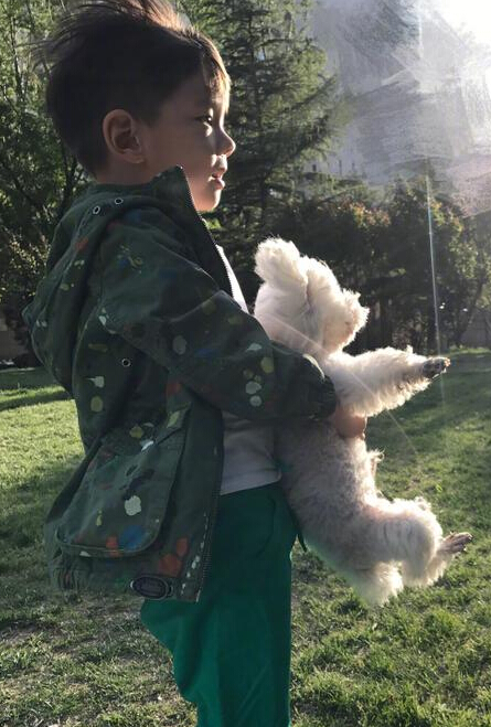 霍思燕带儿子春游 嗯哼大王抱小狗奔跑3