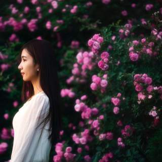 同城聊天室美女 孤单的时候给你陪伴——暖心西瓜2