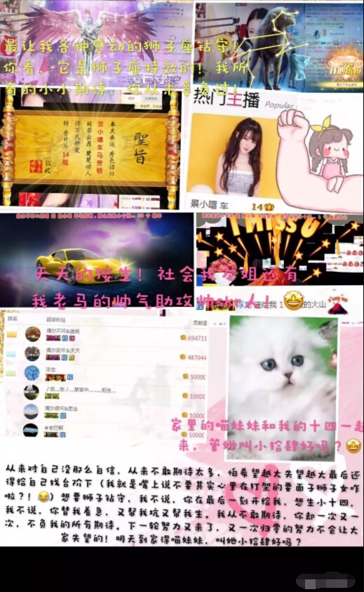 美女主播收了守护变猫咪 女孩的心思不难猜4