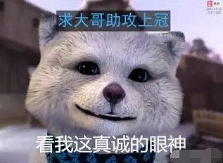美女直播间骚猫