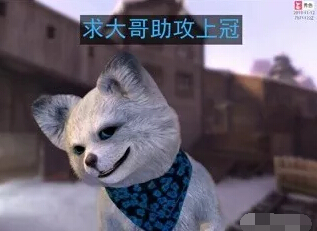 美女主播不止会喜欢