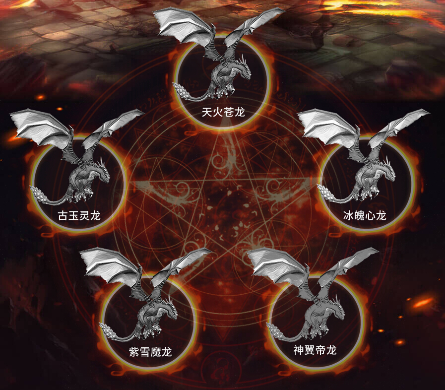 美女直播间视频聊