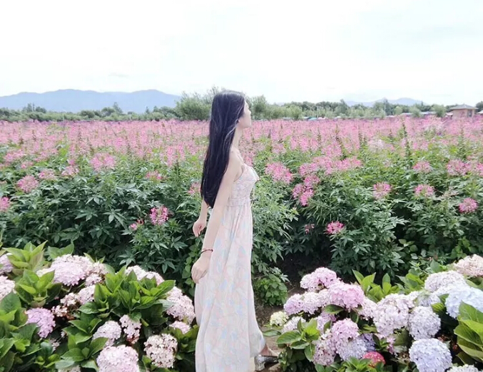 视频直播间美女主播