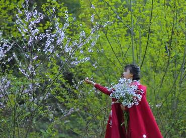 李子柒春日鲜花宴照片曝光简直太美了2