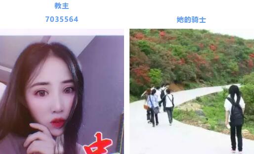 周星榜主播教主和她的骑士