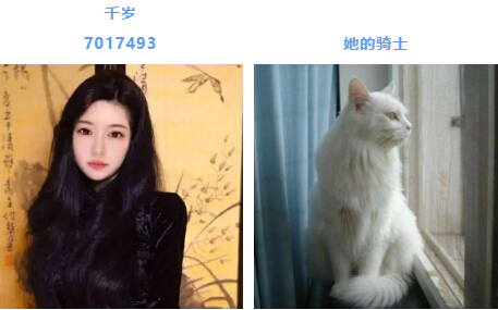 秀色直播主播千岁以及她的骑士