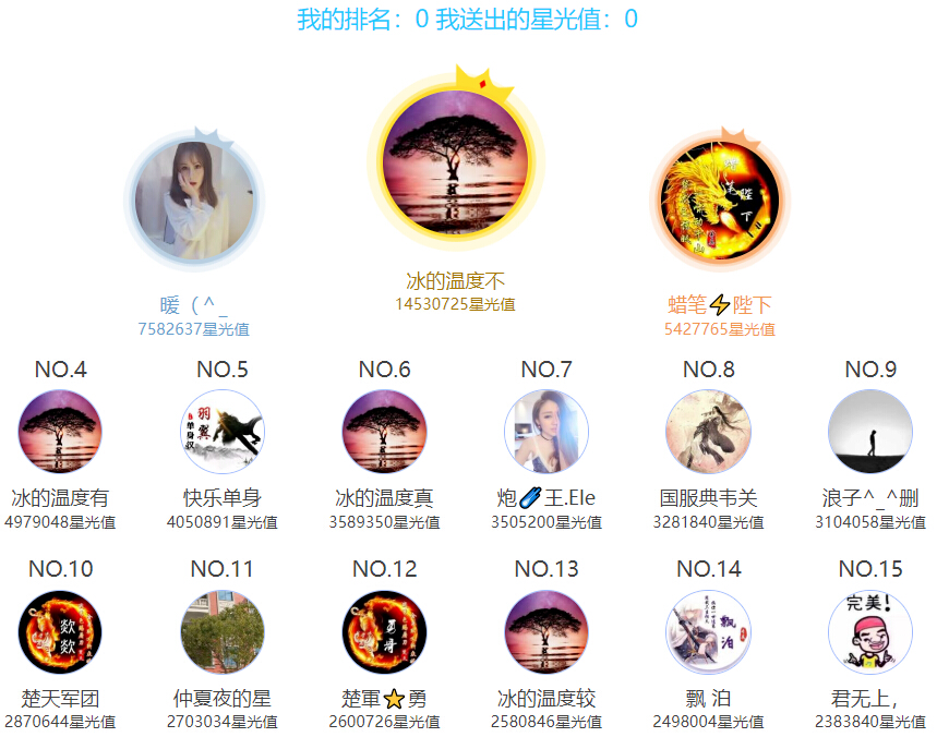 支持的观众