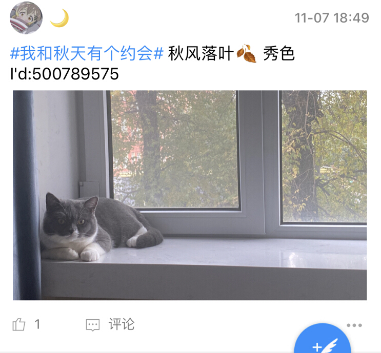 窗边的秋