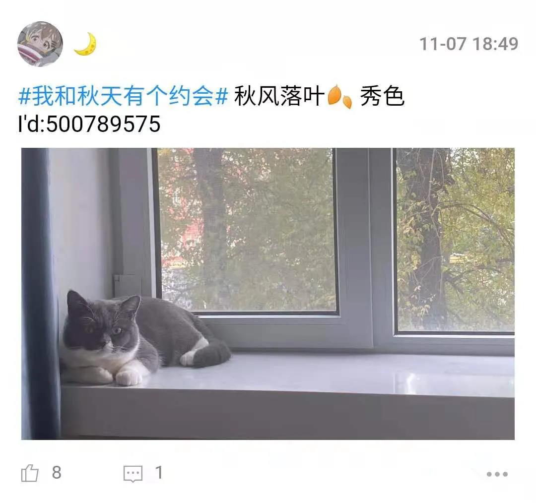 秀色【秋日摄影大赛】圆满落幕秋风落叶