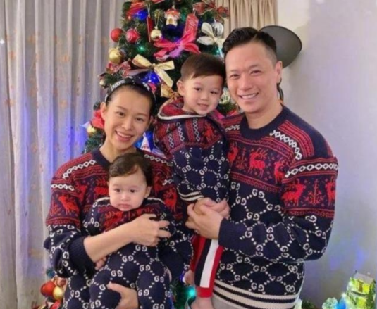 胡杏儿官宣怀上三胎，圣诞树下手扶孕肚一脸幸福2