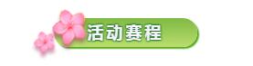 活动赛程