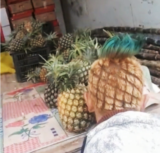 河北一小伙理菠萝头卖菠萝，生意相当火爆2
