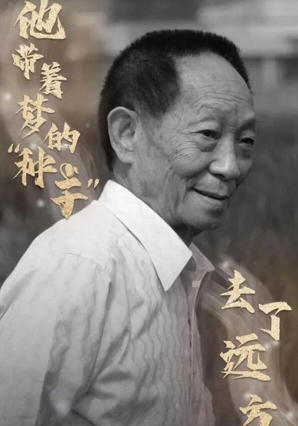 用稻香唱出对袁隆平爷爷的思念1